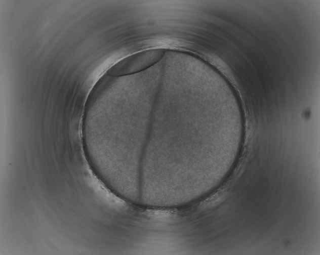 X0000115540946200912181526