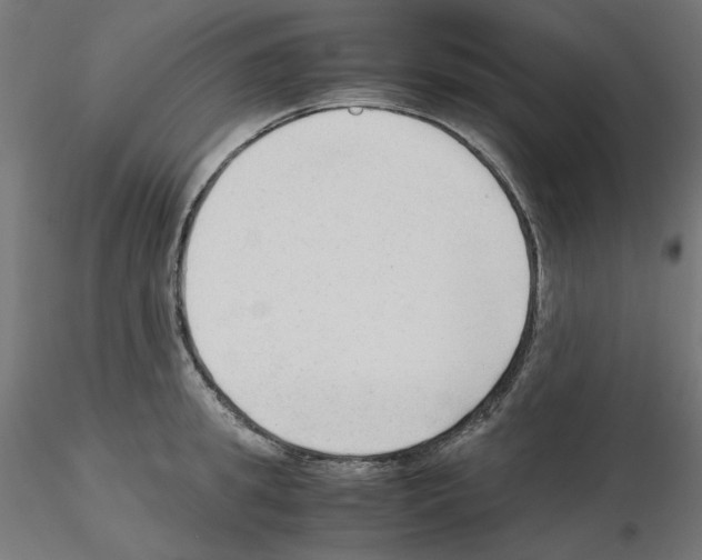 X0000115540949200912181526