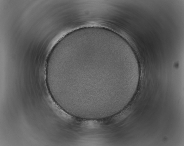 X0000115540950200912181526