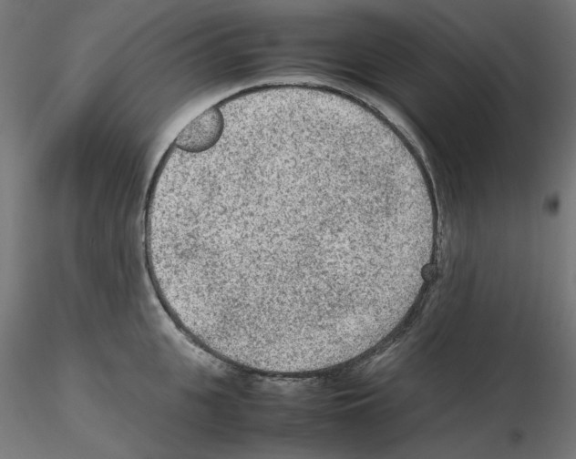 X0000115540951200912181526