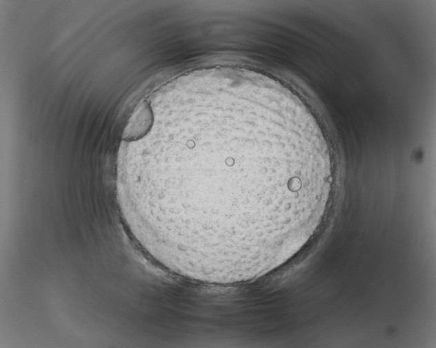 X0000115540953200912181526