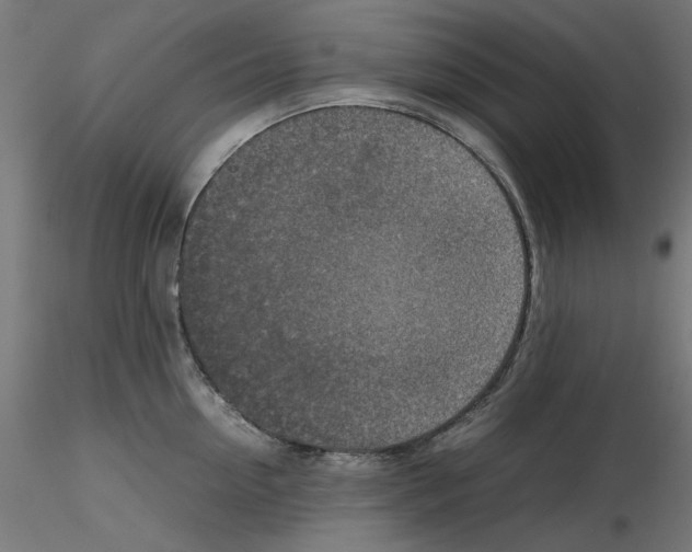 X0000115540954200912181526