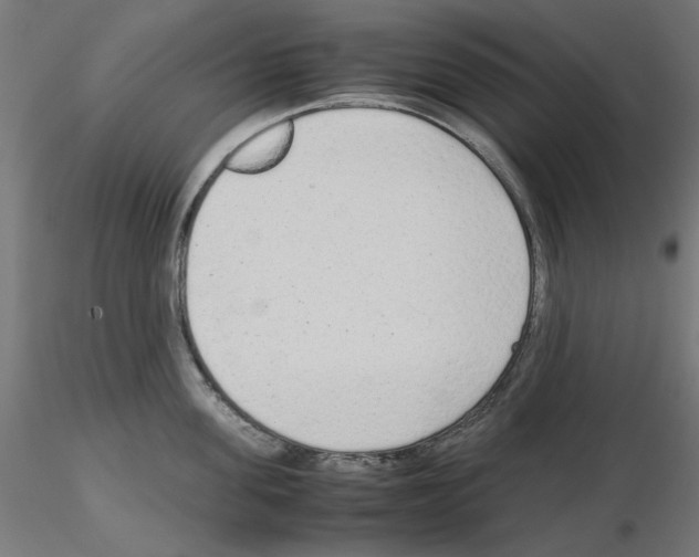 X0000115540955200912181526