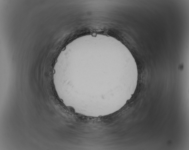 X0000115540961200912181525