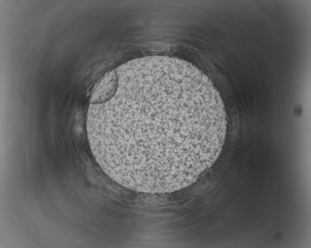 X0000115540962200912181525