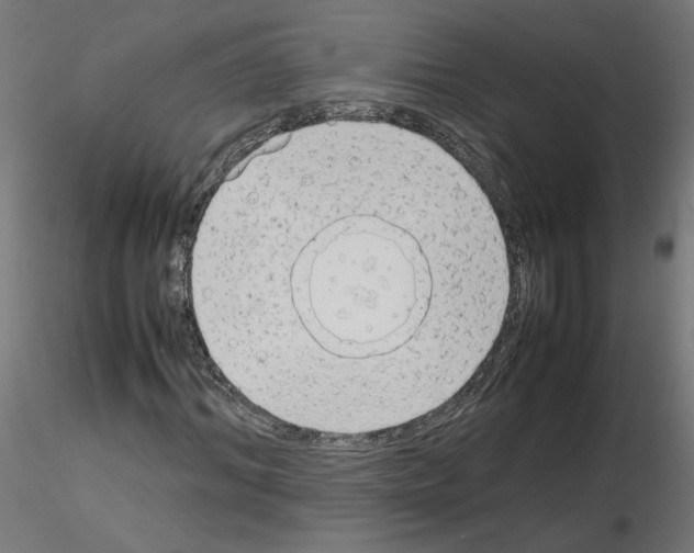 X0000115540964200912181525