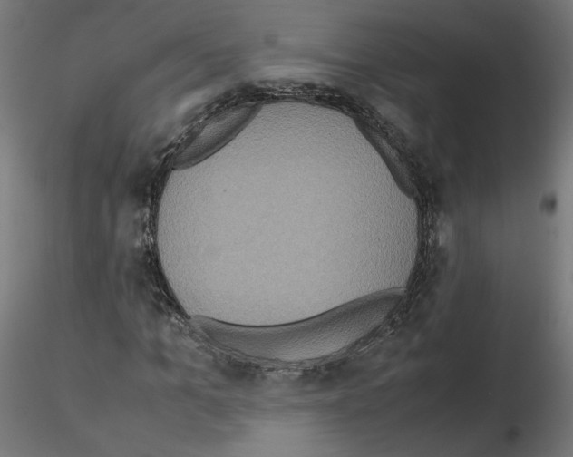 X0000115540965200912181525