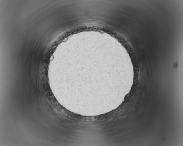 X0000115540968200912181525