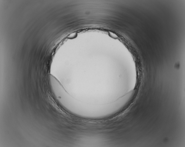 X0000115540969200912181525