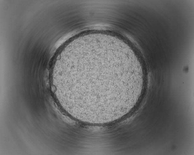 X0000115540970200912181525