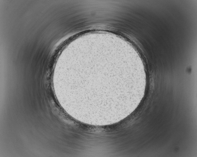 X0000115540971200912181525