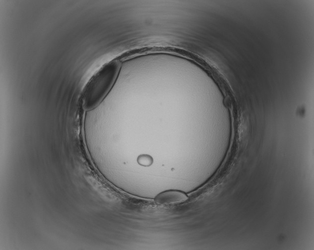 X0000115540973200912181525