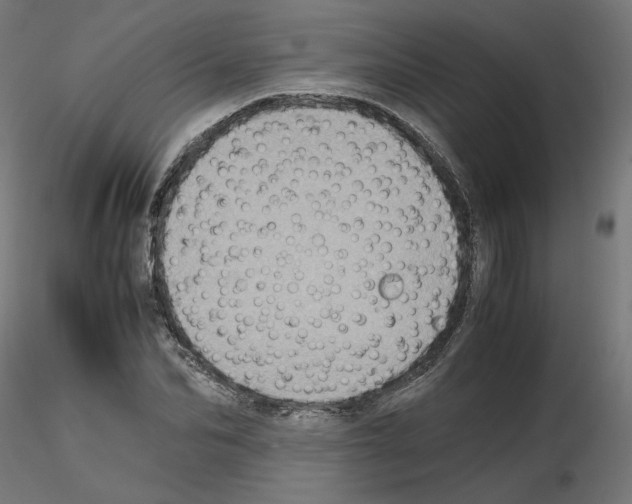 X0000115540974200912181525