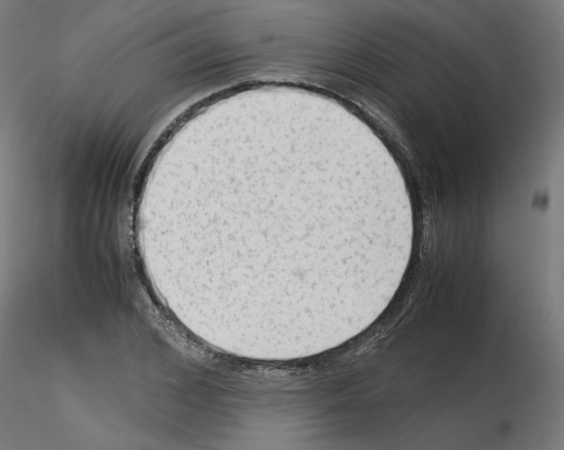 X0000115540976200912181525