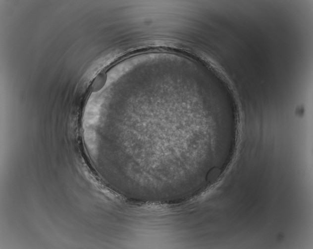 X0000115540977200912181525
