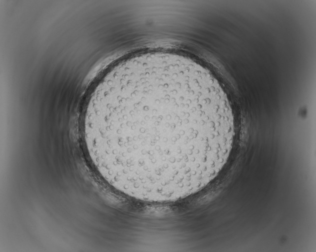 X0000115540978200912181525