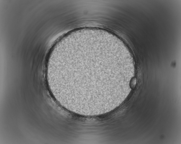 X0000115540979200912181525