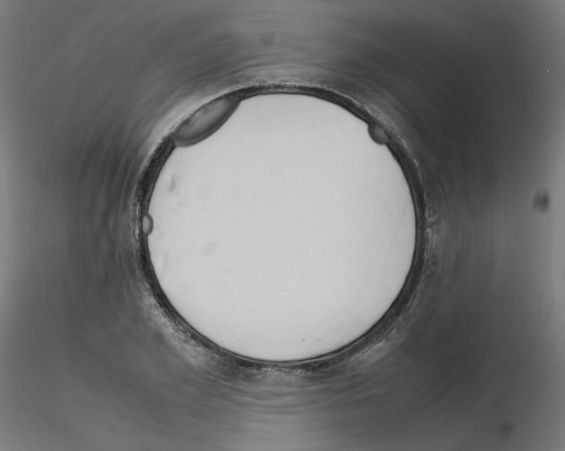 X0000115540981200912181525