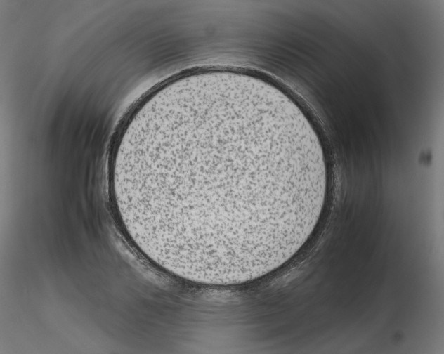 X0000115540982200912181525