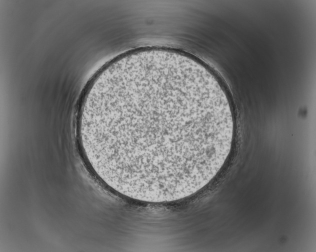 X0000115540983200912181525