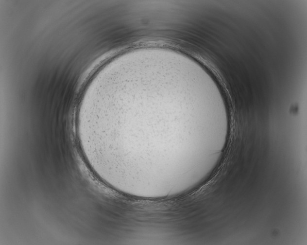 X0000115540984200912181525