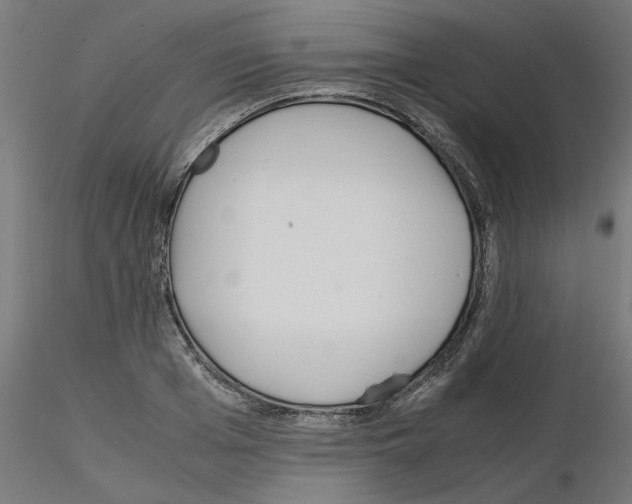 X0000115540985200912181525