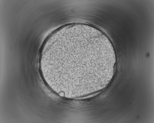X0000115540987200912181525
