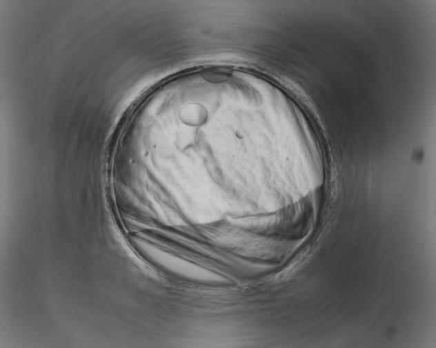 X0000115540989200912181525