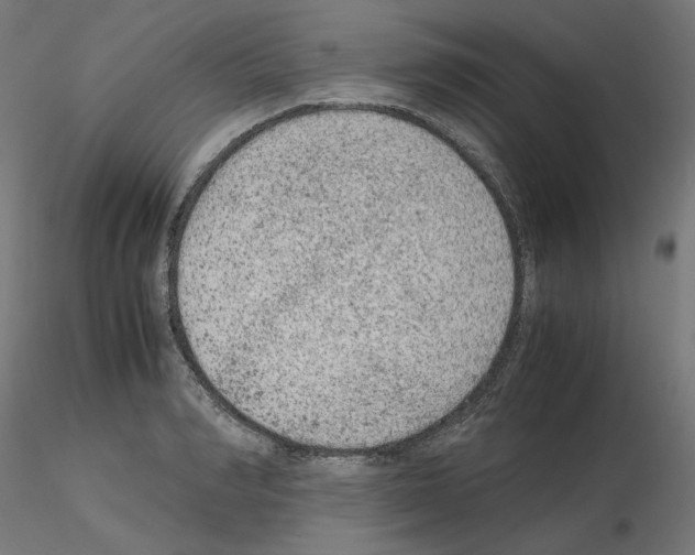 X0000115540990200912181525