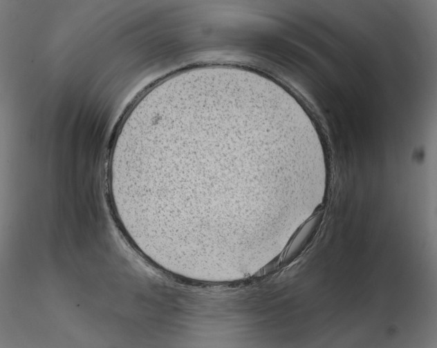X0000115540992200912181525