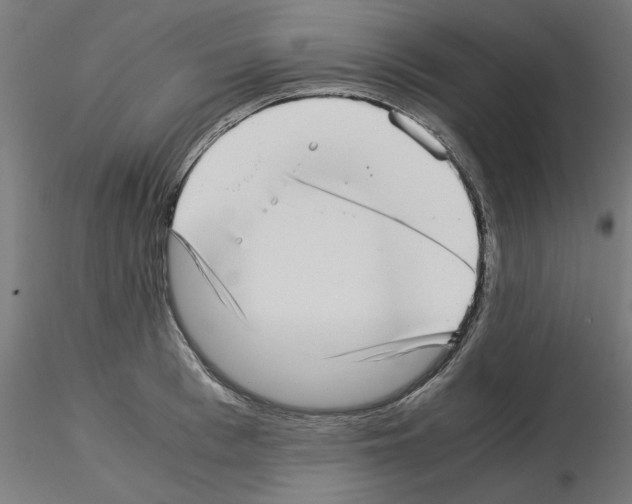 X0000115540993200912181525