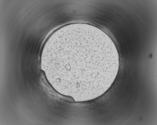 X0000115540996200912181525