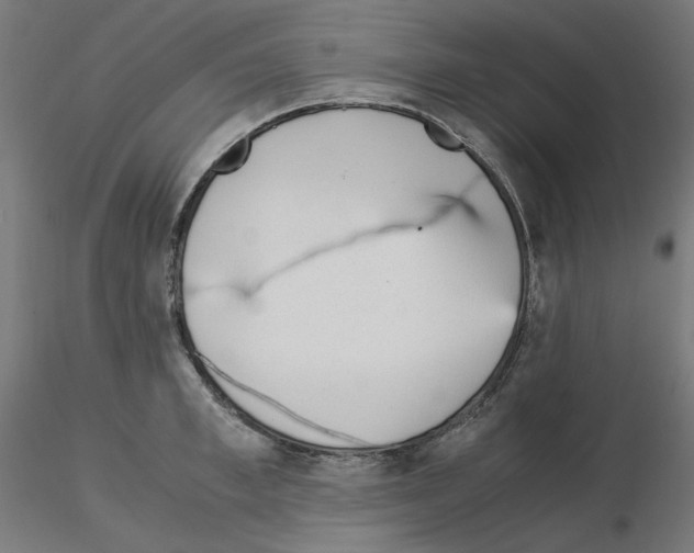 X0000115540997200912181525