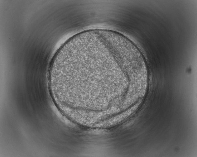 X0000115540998200912181525