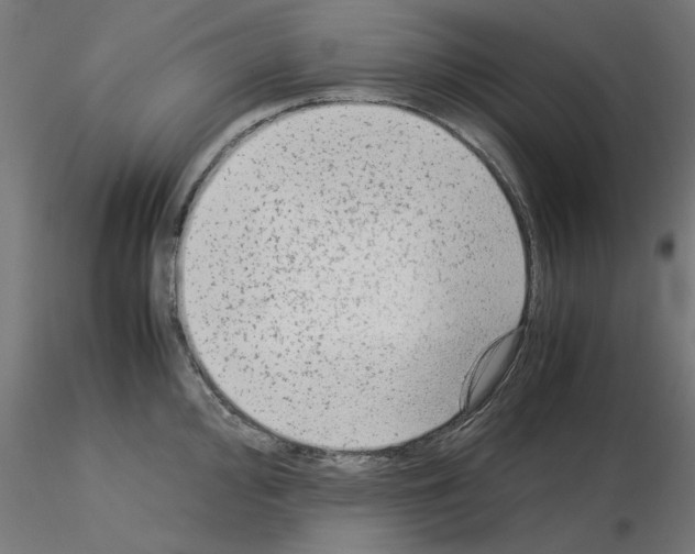 X0000115541000200912181525