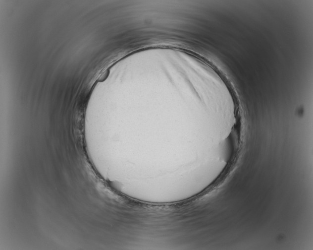X0000115541001200912181525
