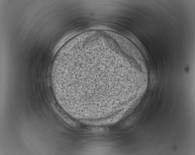 X0000115541002200912181525