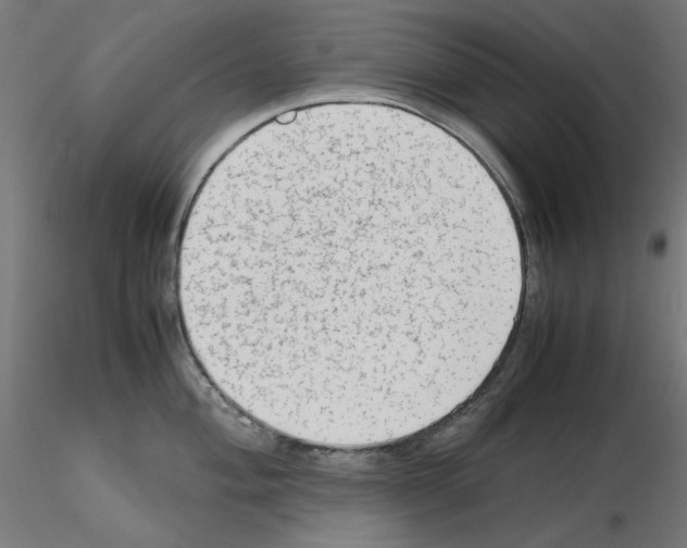 X0000115541004200912181525