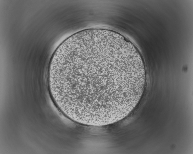 X0000115541007200912181525