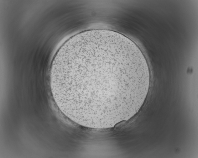 X0000115541008200912181525