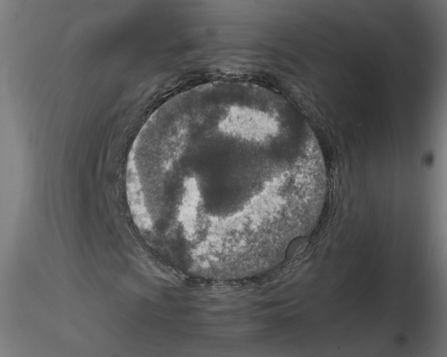 X0000115541009200912181524
