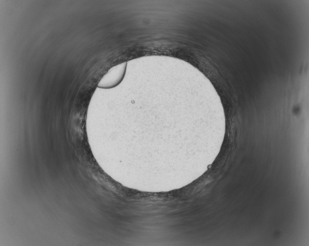 X0000115541010200912181524