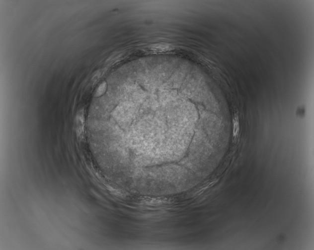 X0000115541011200912181524