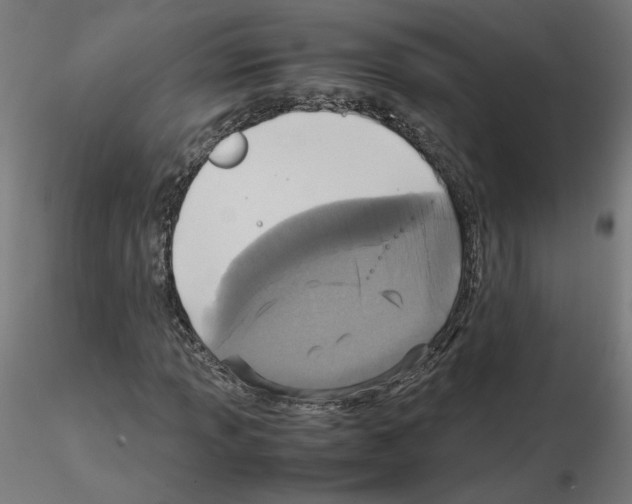 X0000115541013200912181524