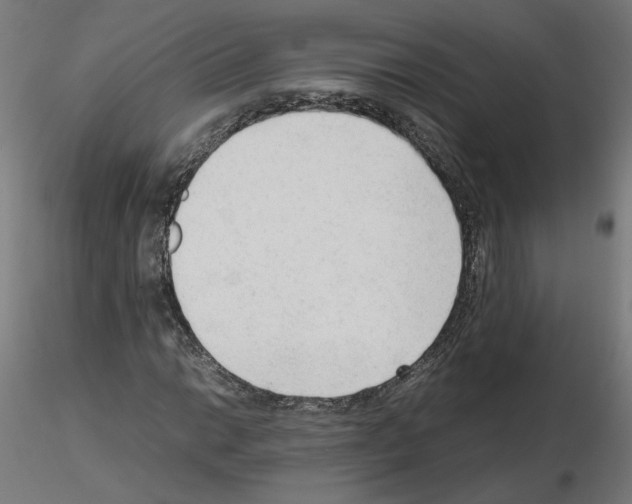 X0000115541014200912181524