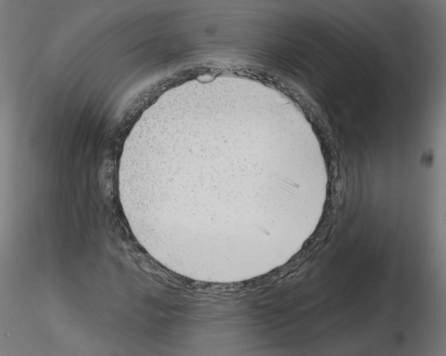 X0000115541016200912181524