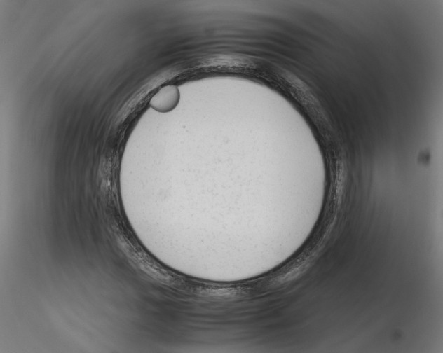 X0000115541017200912181524