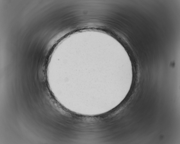 X0000115541018200912181524