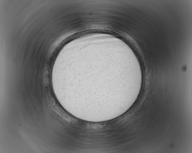 X0000115541019200912181524