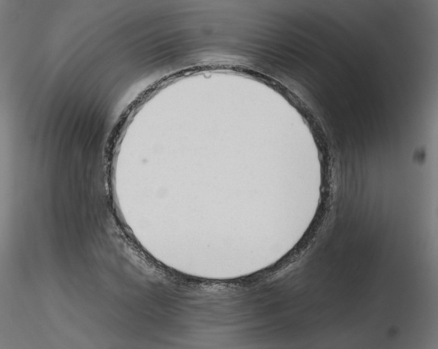 X0000115541022200912181524